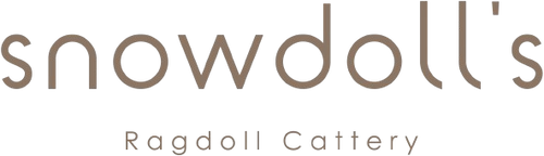 catterysnowdoll